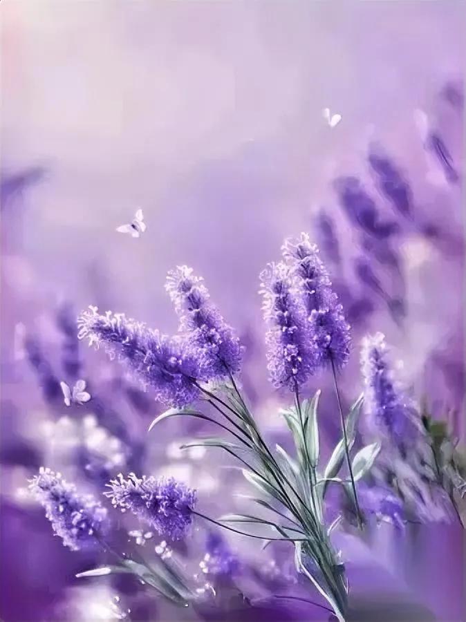 话多易惹祸？真的！为什么聪明人都沉默？生活里总有人一熟就掏心掏肺，结果换