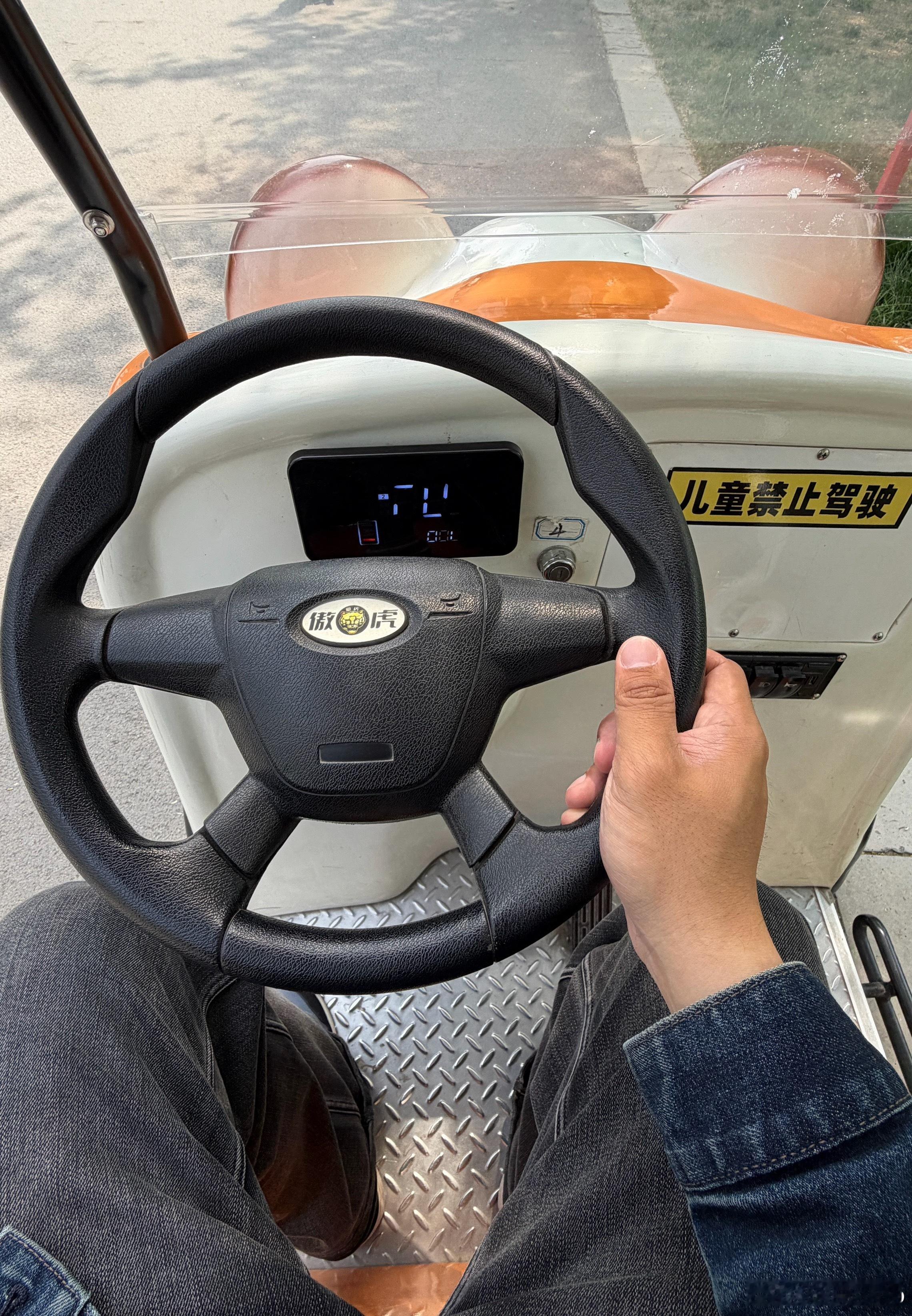 今天开傲虎