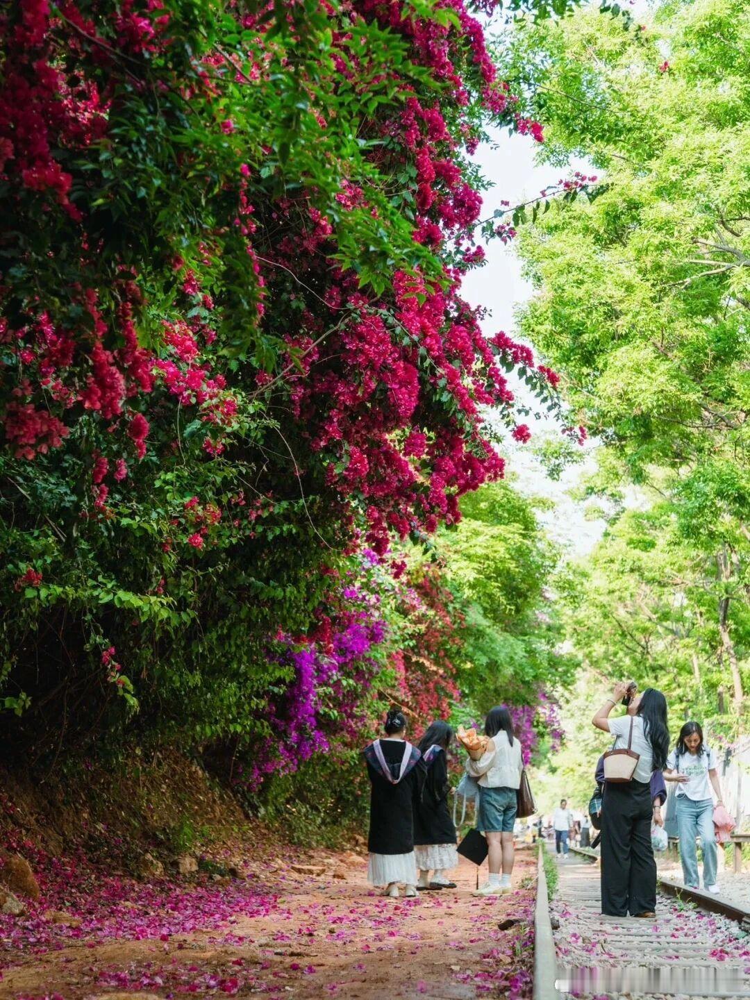 愿您明媚向阳，岁岁安好。早安，每一个你早安心语早安早安