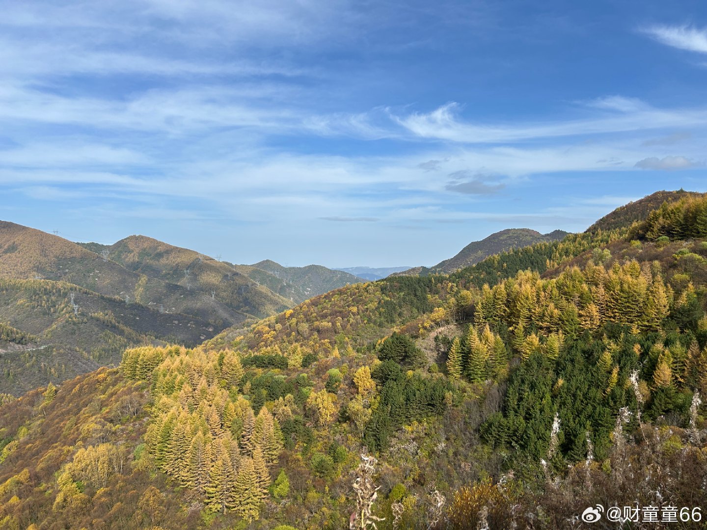 2026年10月，台媒拍到余文乐与王棠云离婚后仍带孩子聚餐并同回豪宅，面对同居与复婚猜测，王棠云经纪