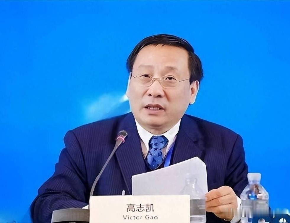 高志凯指出，各地的档案馆里留存有抗战时期的详细档案，记录了当年为日军提供物资、情