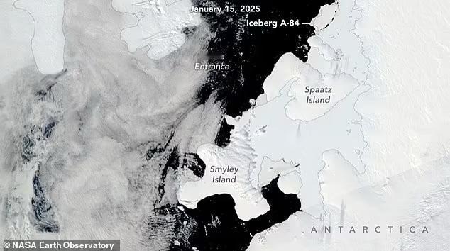 南极洲巨型冰山断裂！已在南大洋漂浮近40年的一座巨型冰山正缓慢北上，向拥有众