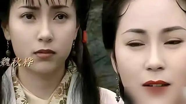 一个傅明宪，一个魏秋桦，傅明宪演的郭芙，魏秋桦演的黄蓉，你们全都搞错了。以前小