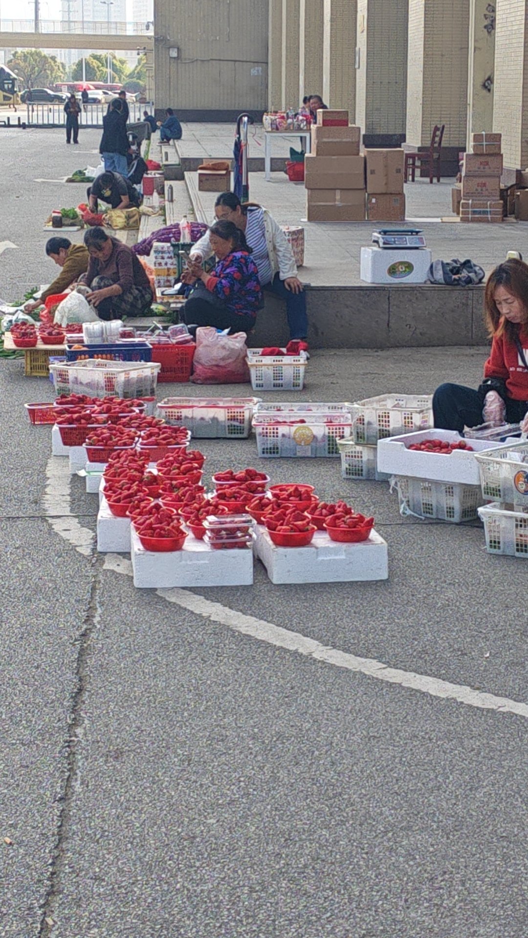 一日三餐一人食上周的伙食，简直就是“美食连连看”：每天打开饭盒，都像是在玩配对