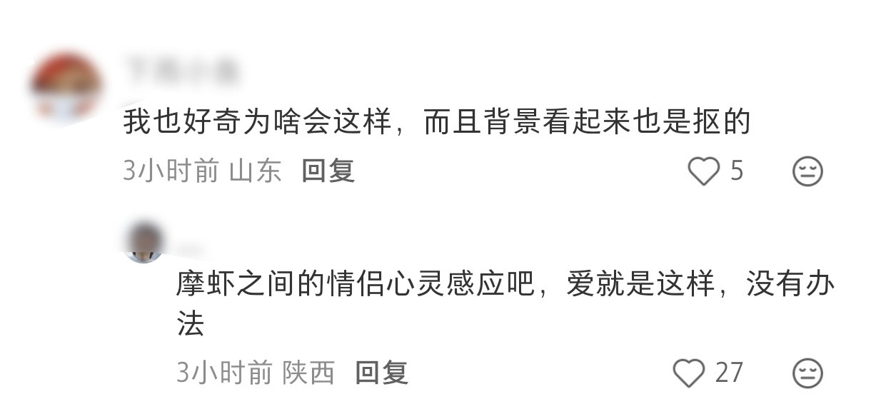哈哈哈那还说啥了，虾摩99