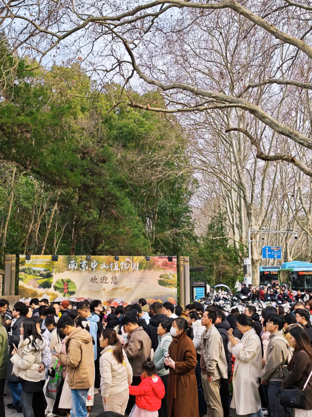 🌸南京今天人挤人爆啦！你在哪里赏花啦？