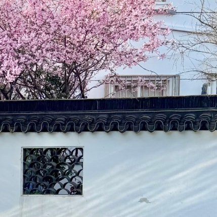 早上好呀。今天的我，依然满怀期待地生活。哪怕平凡普通，也要认真对待每一件小事；就