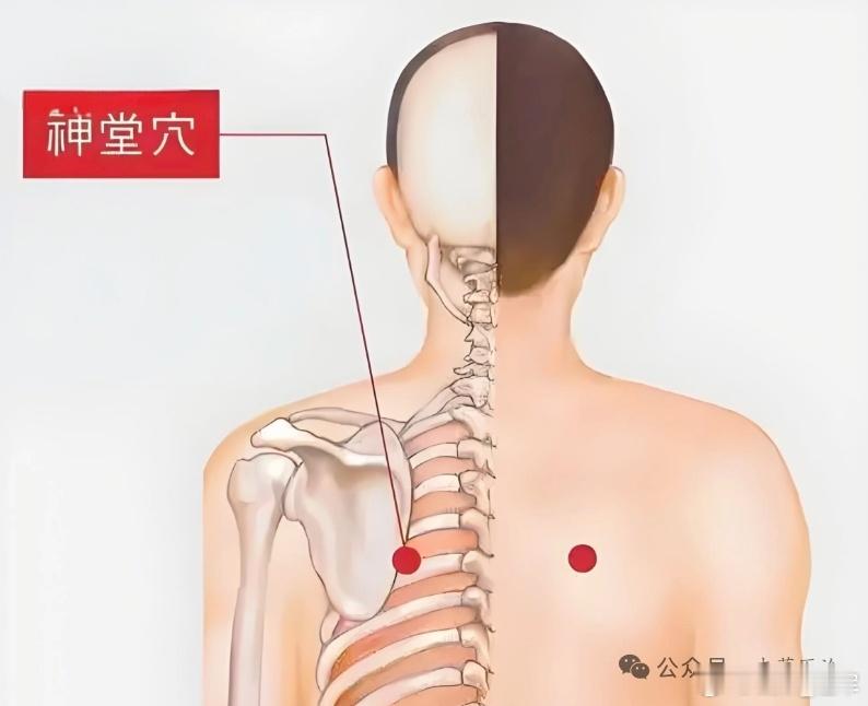 自闭症，揉开背部