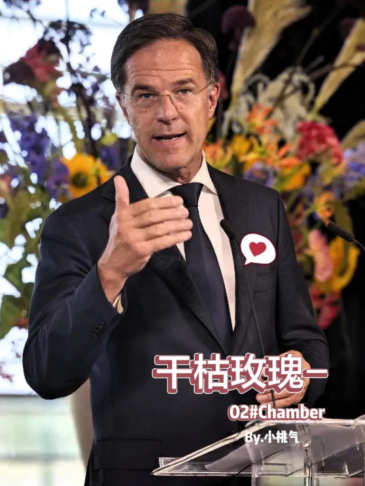 快讯,快讯!安世荷兰总部这波操作太迷了,突然宣布免掉张秋明的职务,结果中