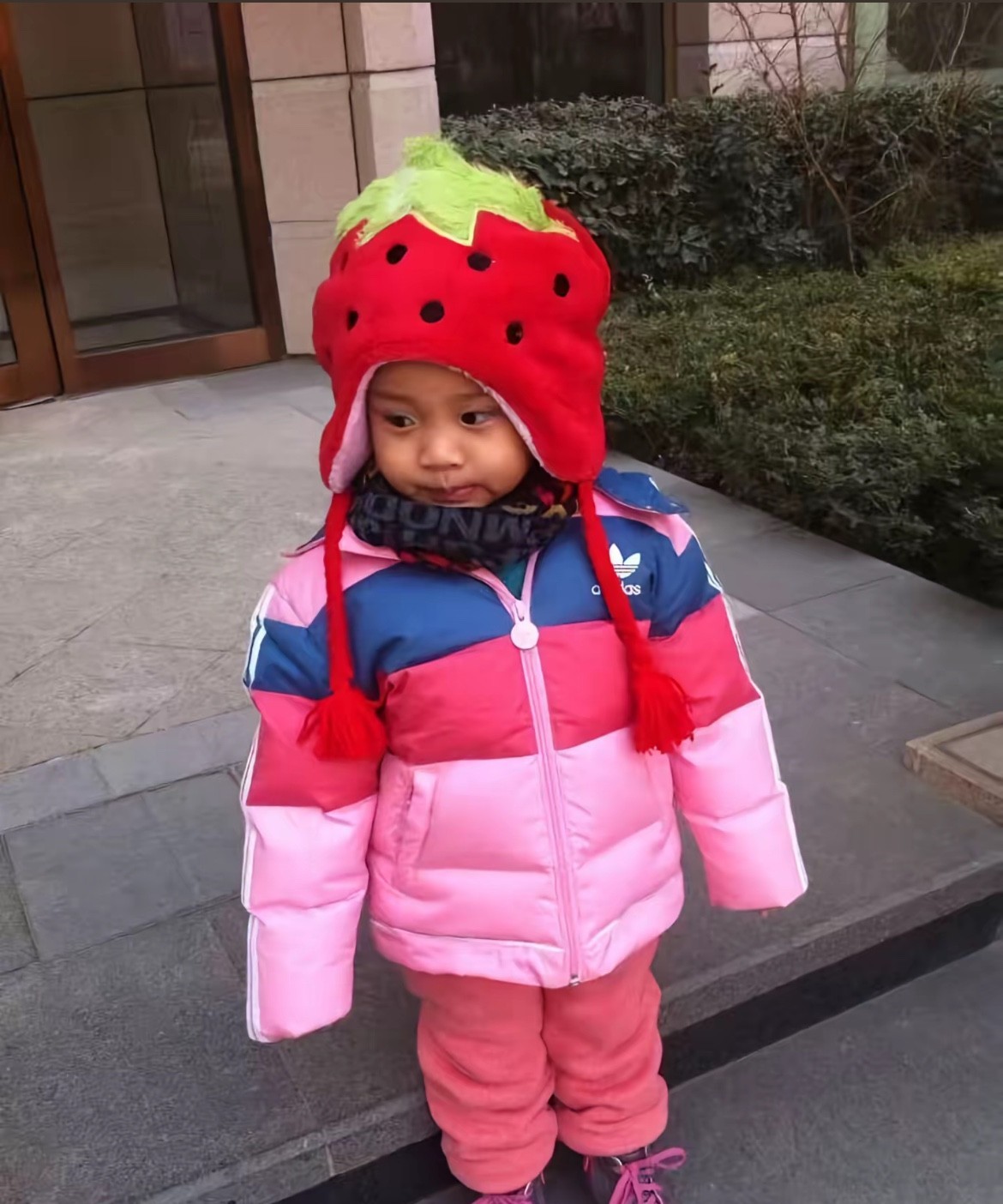 今天贾乃亮李小璐的女儿甜馨在社交平台发布视频，视频中全是甜馨小时候的照片，分别是