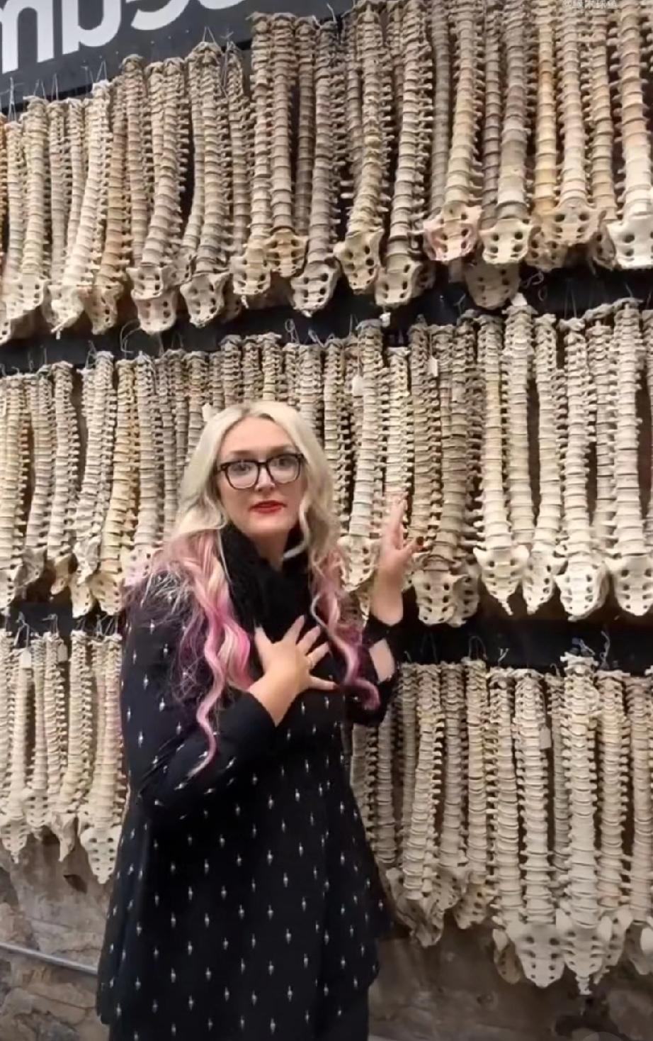 吓麻了！这里有座真人骨博物馆，99.9%都是真遗骸……美国布鲁克林藏着家超