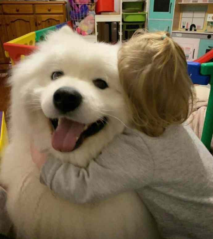 上了一天学的人类幼崽正在补充小狗能量