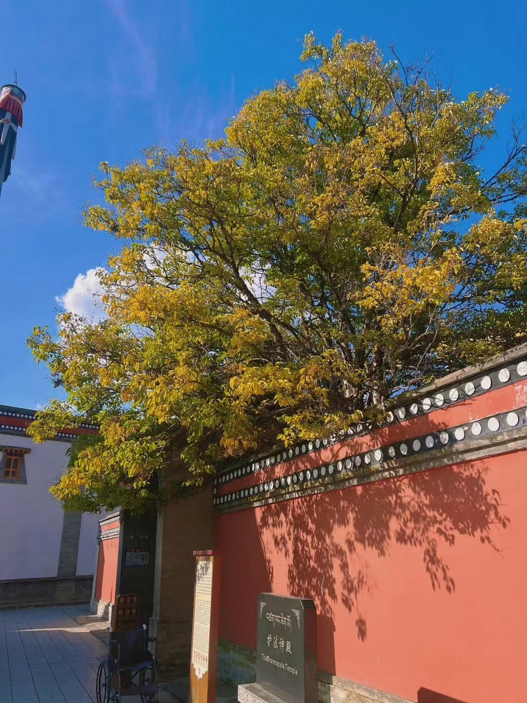 容易读错的字：​1、桎梏（zhìgù）。​2、妊娠（rènshēn）。​3、