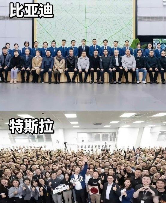 中美文化差异