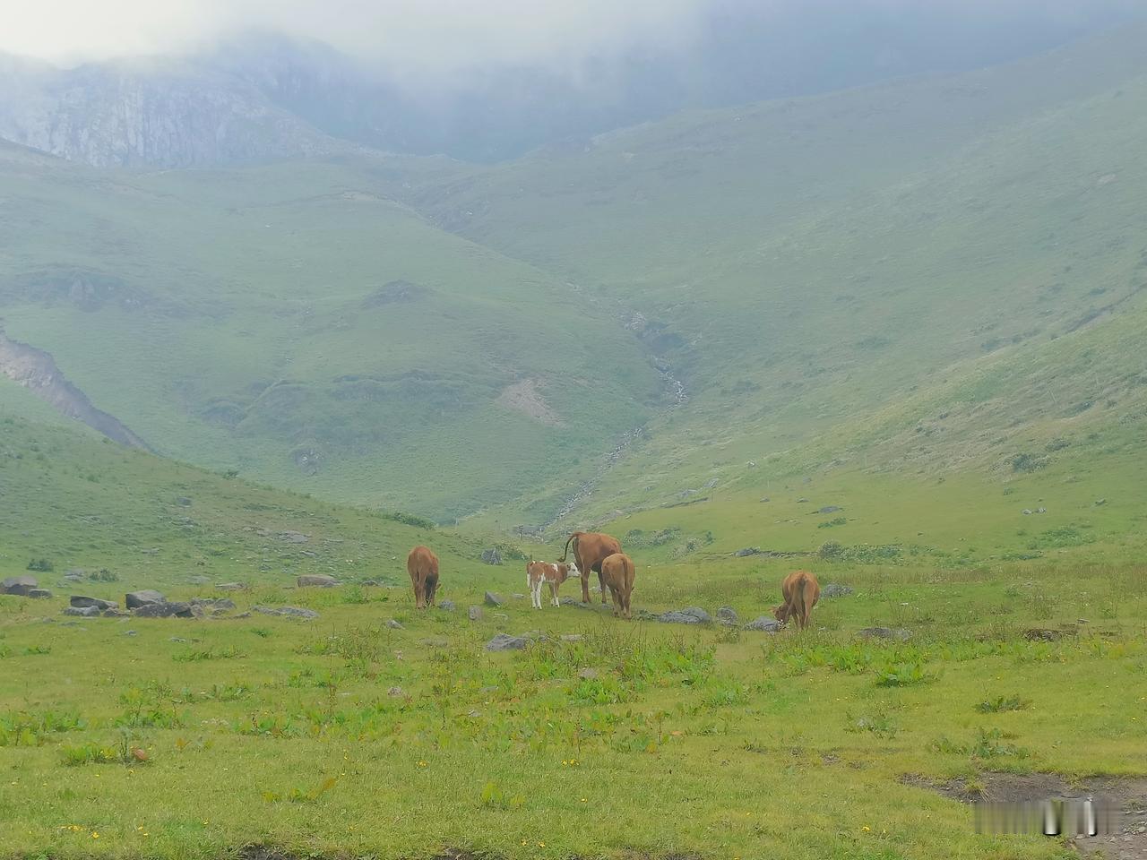 国家统计局刚公布的2025年居民收入数据：全国居民人均可支配收入43377元，