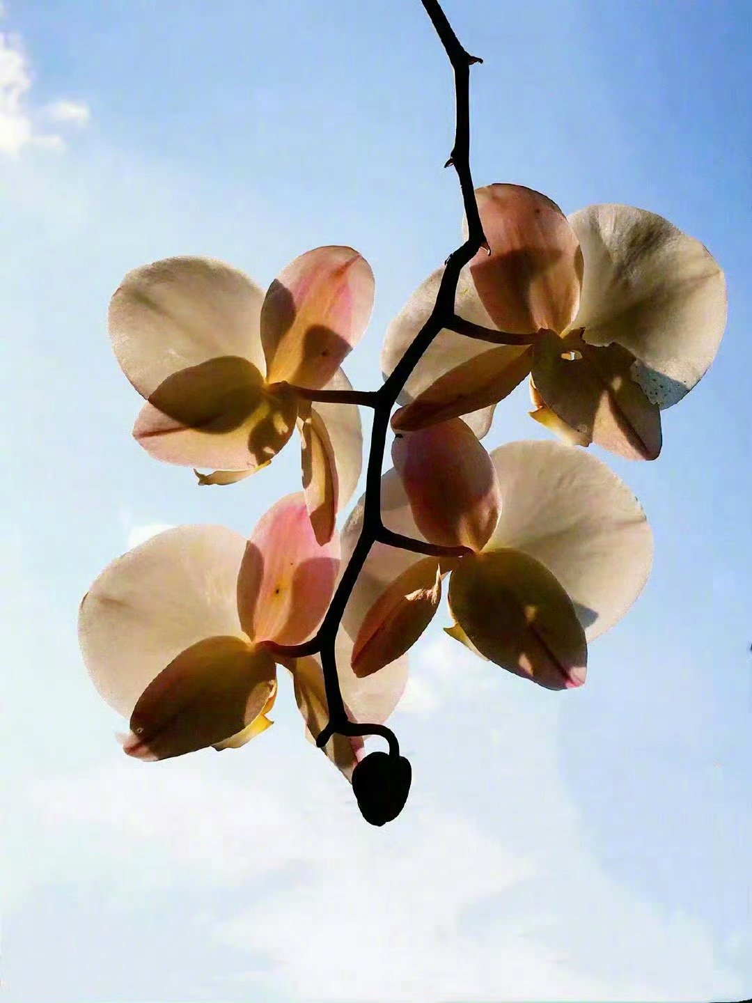 人一天的精力是有限的，对于有些人、有些事，需要温柔地撤退。对于那些能用来加速成长