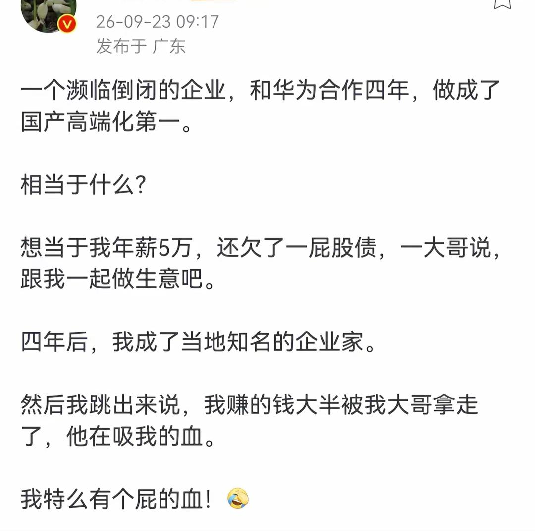 企业合作四年，最后被大哥吸血。