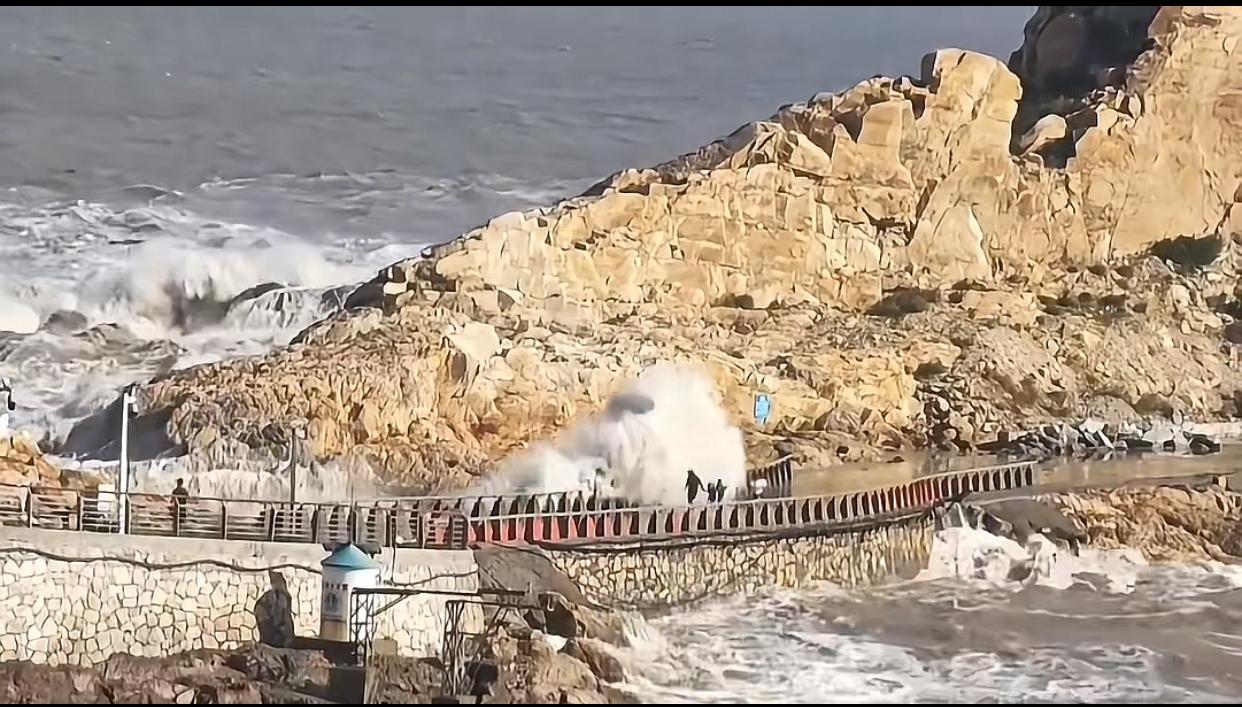 温岭9岁男孩被疯狗浪卷走这个事，一行四人全部是外地游客，两名成年人是出事男孩的姑
