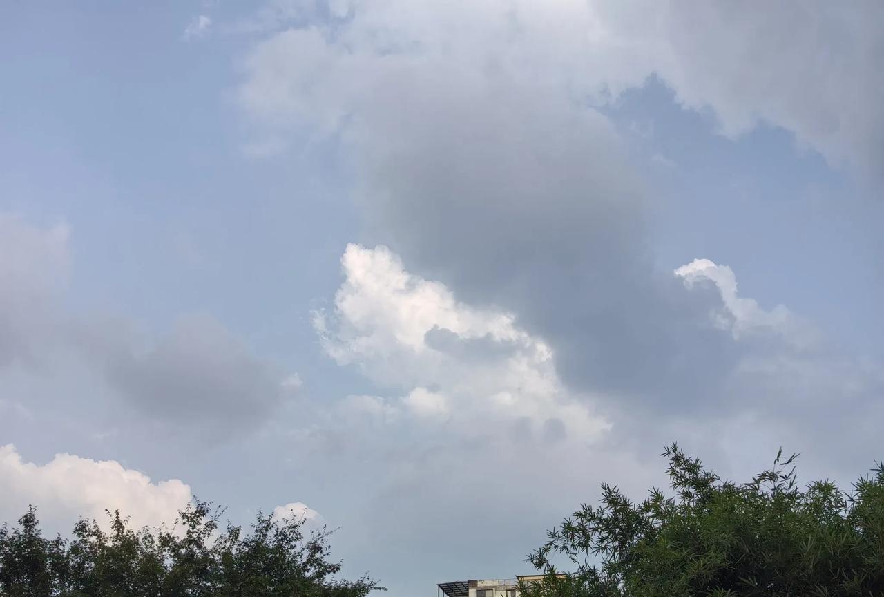我们这里街上有个女人，从小就好吃赖做，长大后结婚后，也不想出去上班。但是她总有钱