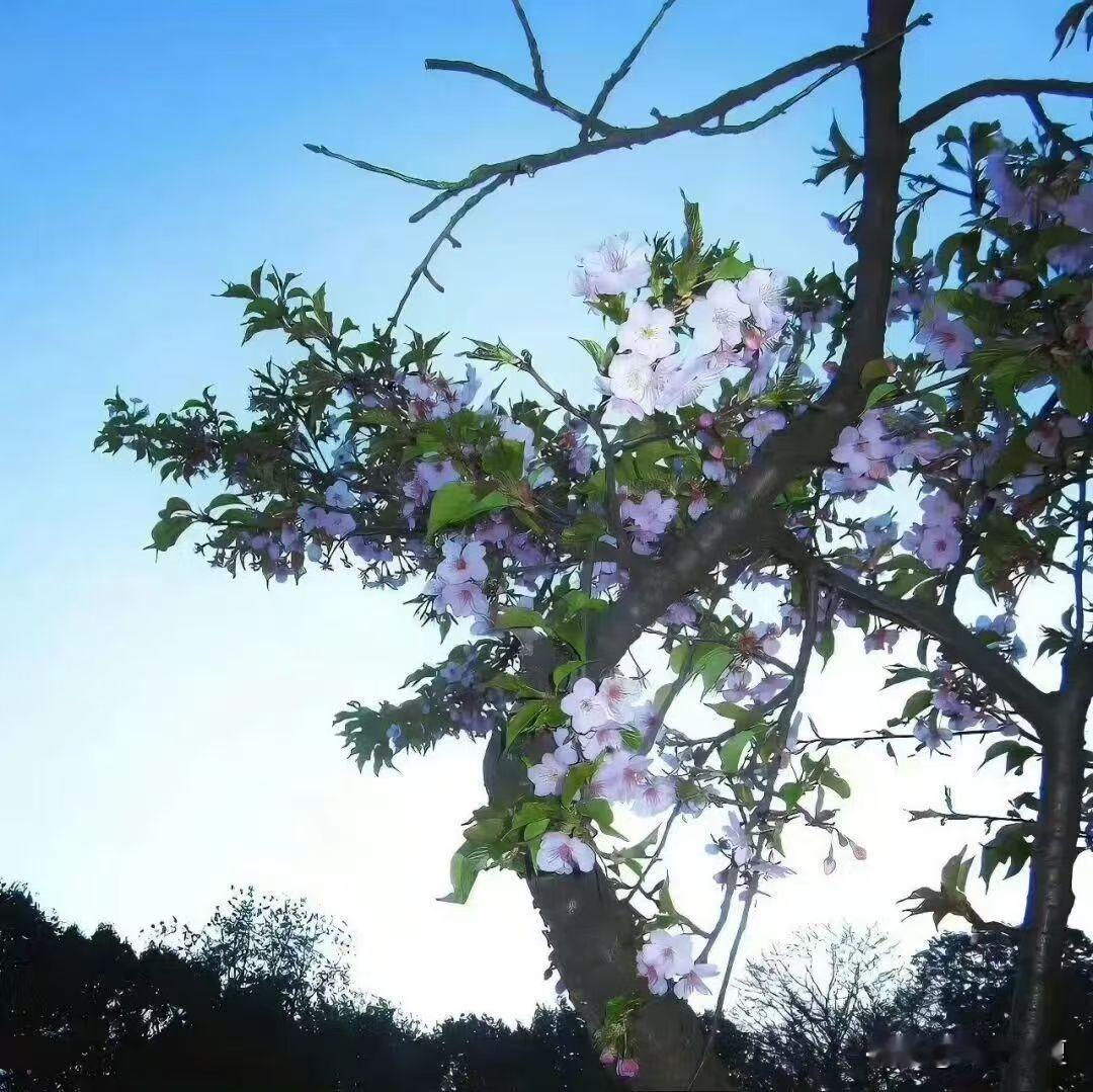 再好的感情，也经不起这3件事的反复消耗感情从来都不是坚不可摧，而是越用心就