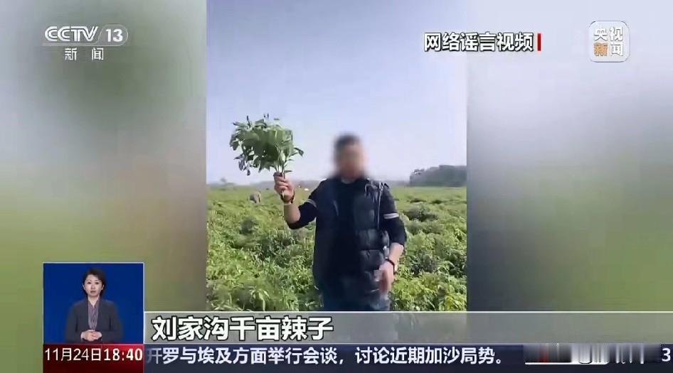 现在有些人，为了博流量真是毫无底线！近日，有男子在社交媒体造谣“陕西咸阳一地千亩