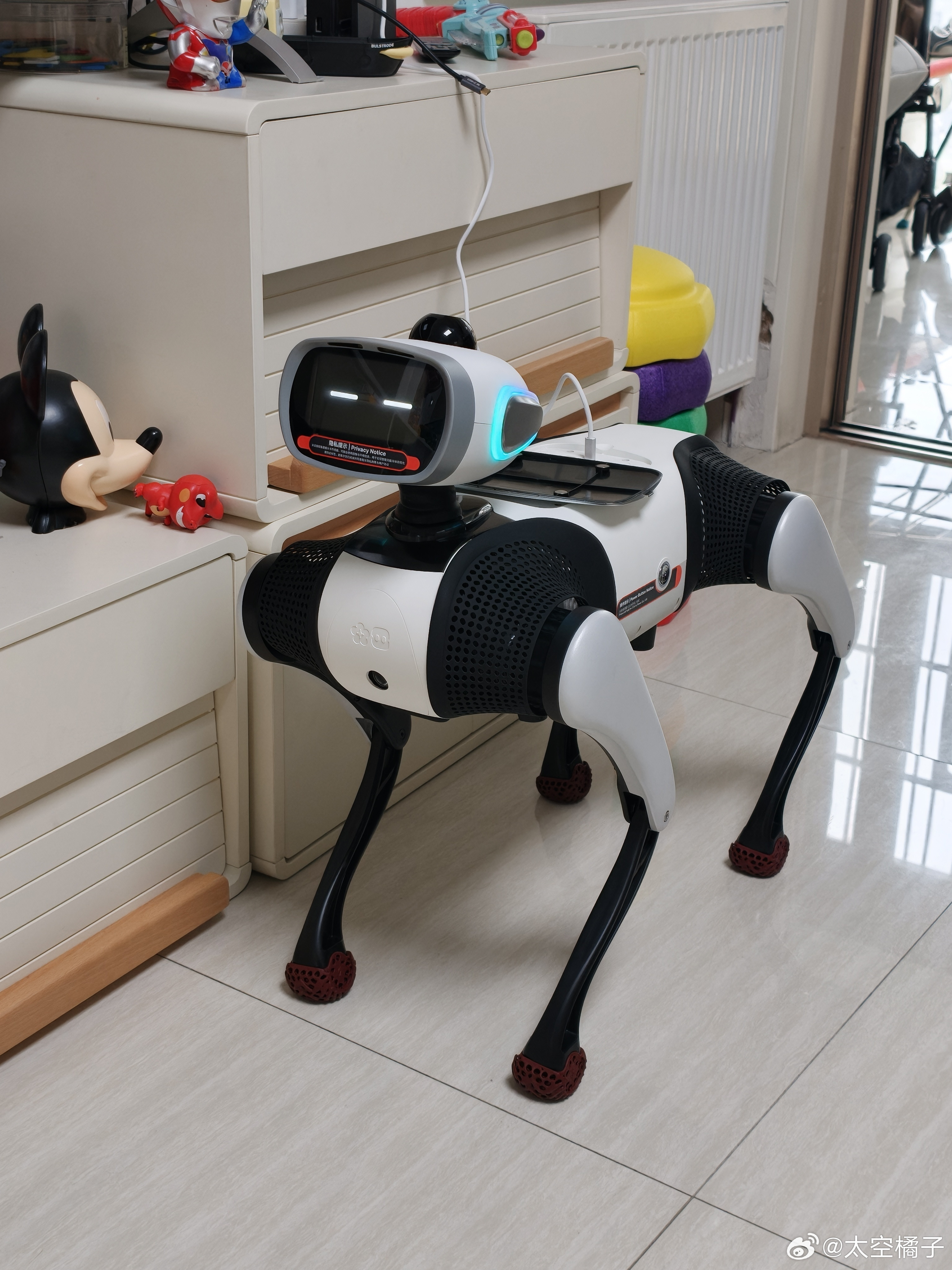 你家的电车算力有没有我的狗高我的狗的算力是128topsvbotvbot维他动