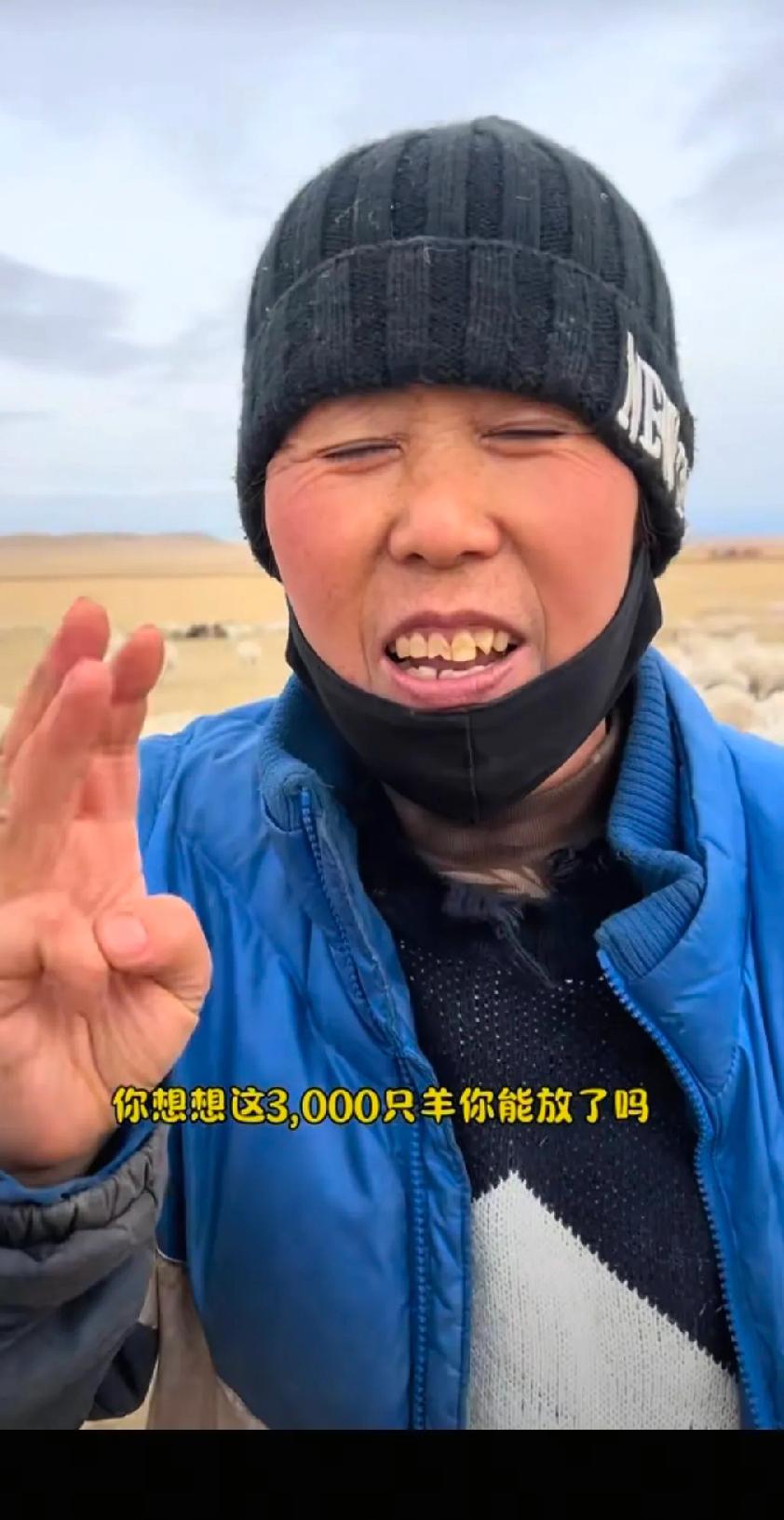 ​以为放羊轻松月入过万？内蒙大姐一语道破真相，看完彻底醒悟在内蒙古放牧1000