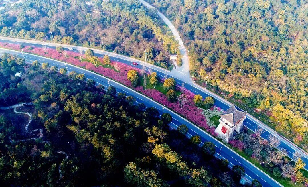 太湖9号公路：浙江唯一入选2026国家级户外运动精品线路，1314里程碑处打卡“