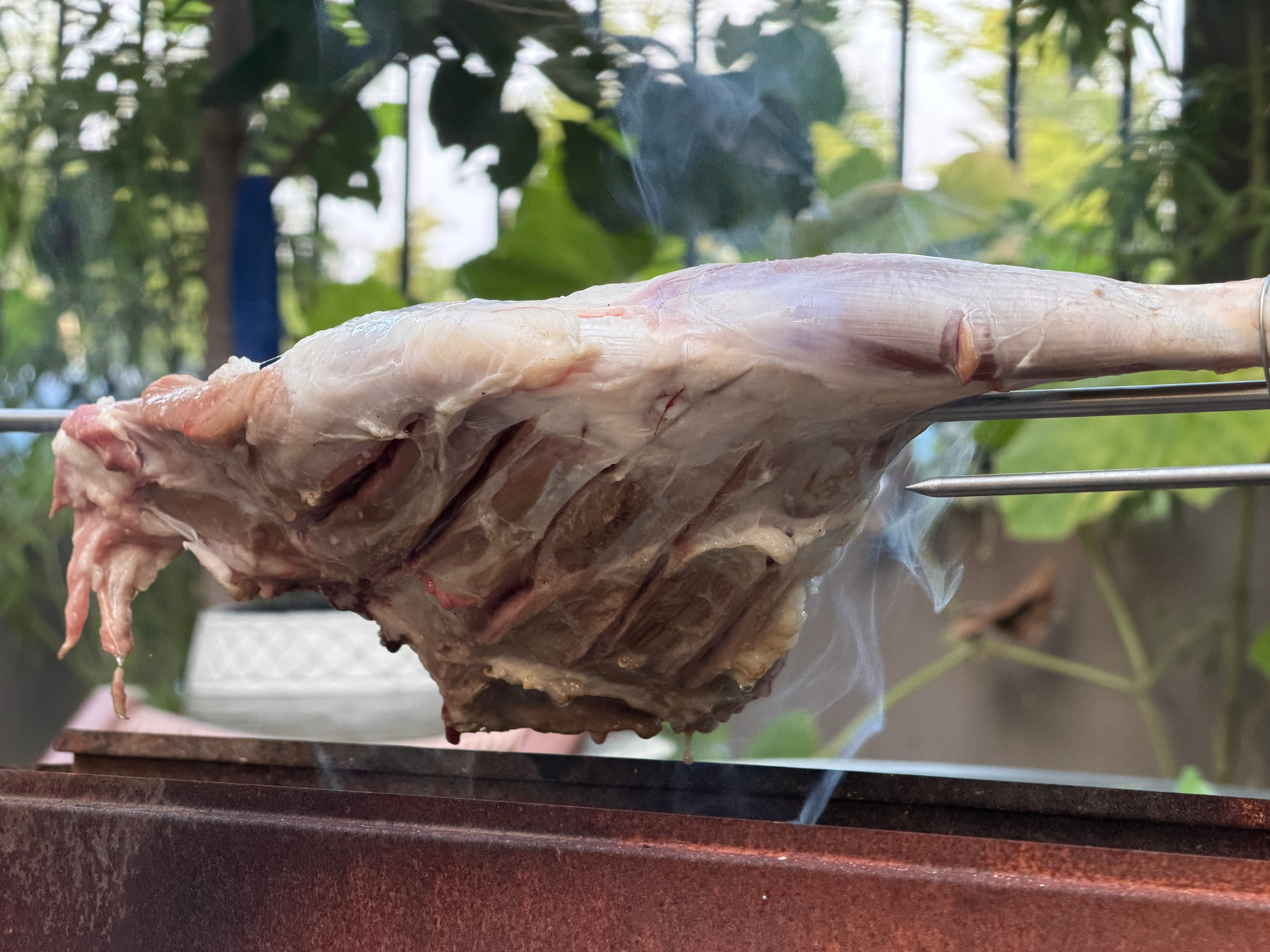 今晚菜系两荤一素两个炭槽子烤肉闷炉烤苞米地瓜