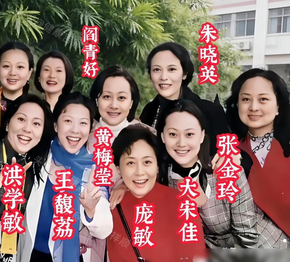 昔日的宋春丽，张金玲，洪学敏，张金玲，王馥荔，朱晓英，大宋佳，在一起合影留念，美