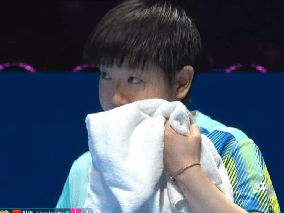 2-7追上来的，就是这只小咪！厉不厉害！