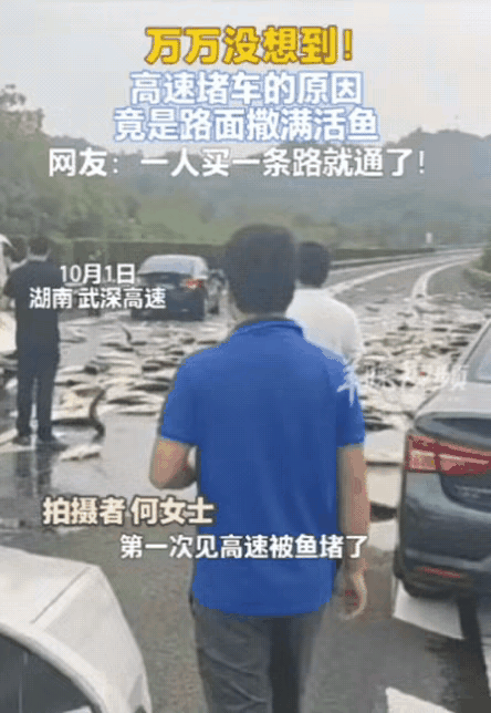 “高速堵车原因找到了！”湖南这女子，上高速前导航还是绿波，结果刚上去就堵了。