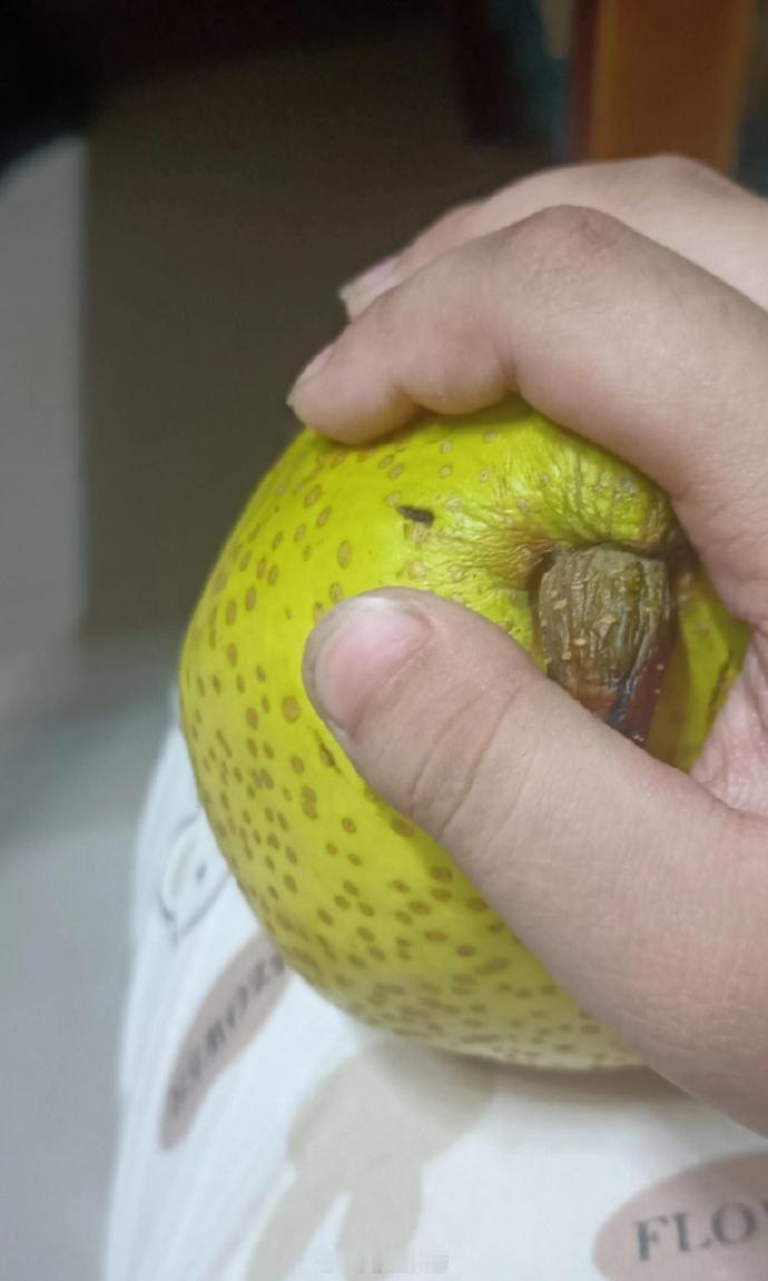 鹦鹉看起来很脆很甜🤤