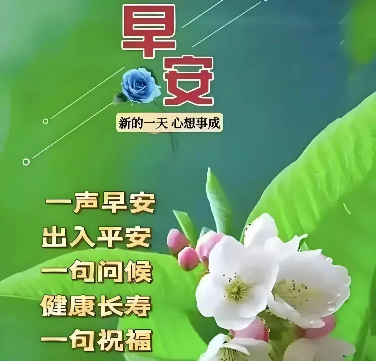 夏日快乐今天是2025.7.31[玫瑰]周四愉快[玫瑰]夏日之晨，带着清