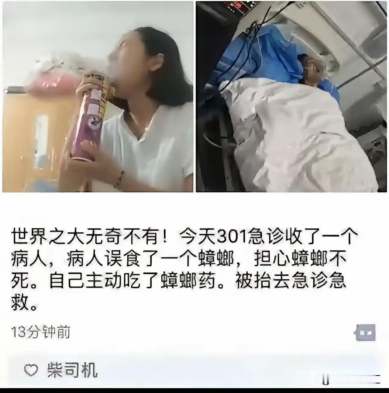 这么狠啊？！这是打算，和蟑螂同归于尽吗？！！！