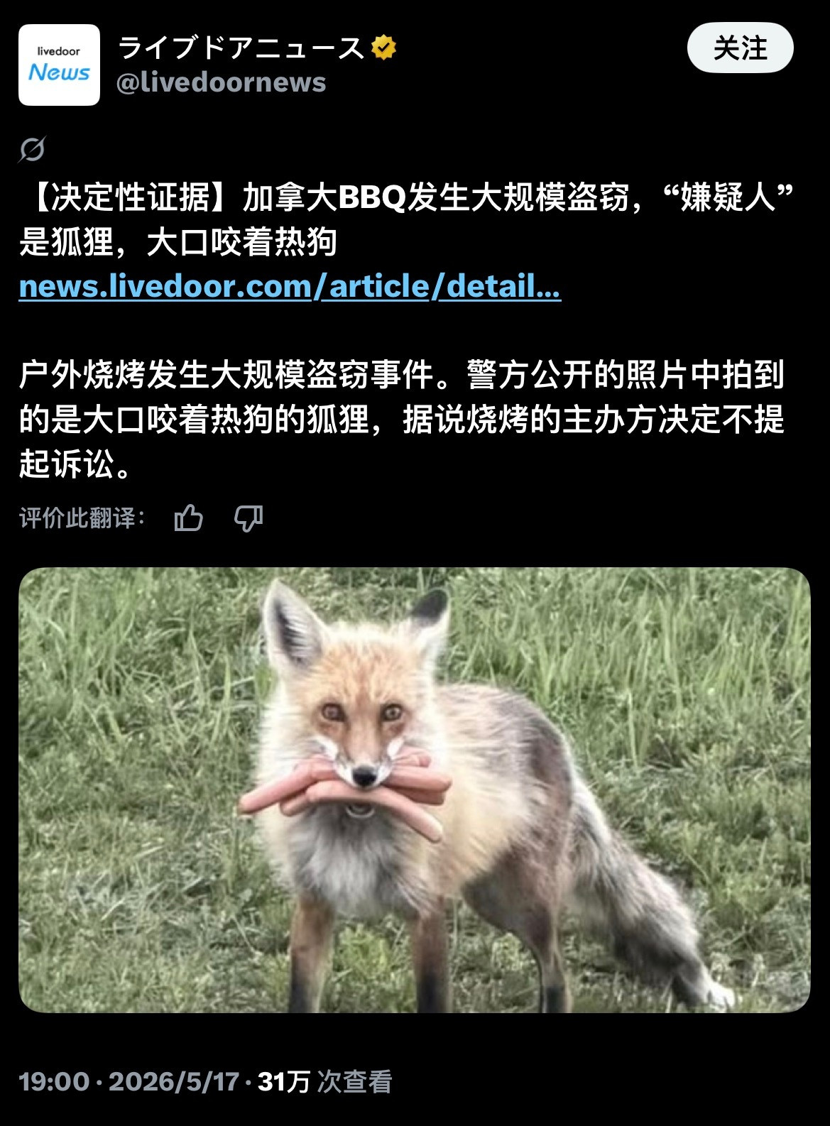 【速报】加拿大烧烤店发现盗窃事件嫌疑人是一只狐狸