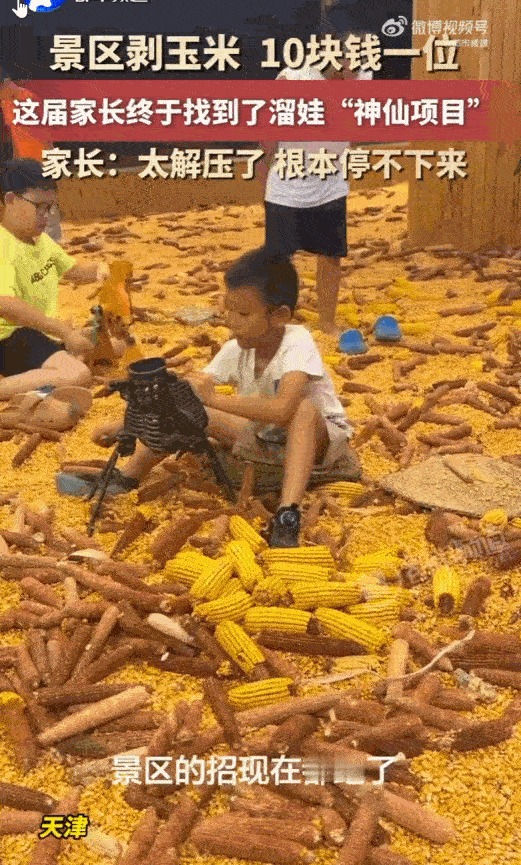 天上难道真的会掉馅饼，让老百姓白占便宜？天津，一位老爹带娃逛景区，居然掏了10块