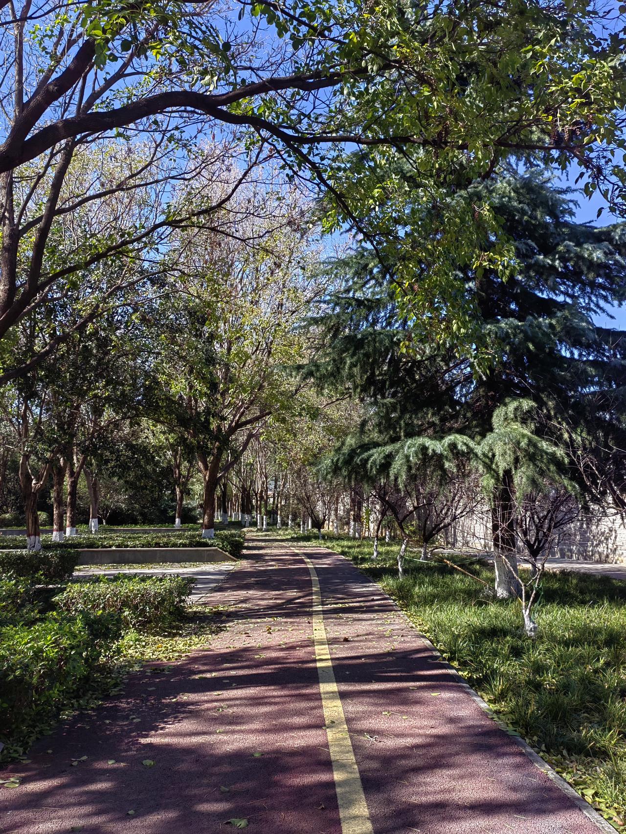 “规模性返乡”会带来两个突然，不利于经济社会稳定。一是大批务工者突然离开城市返