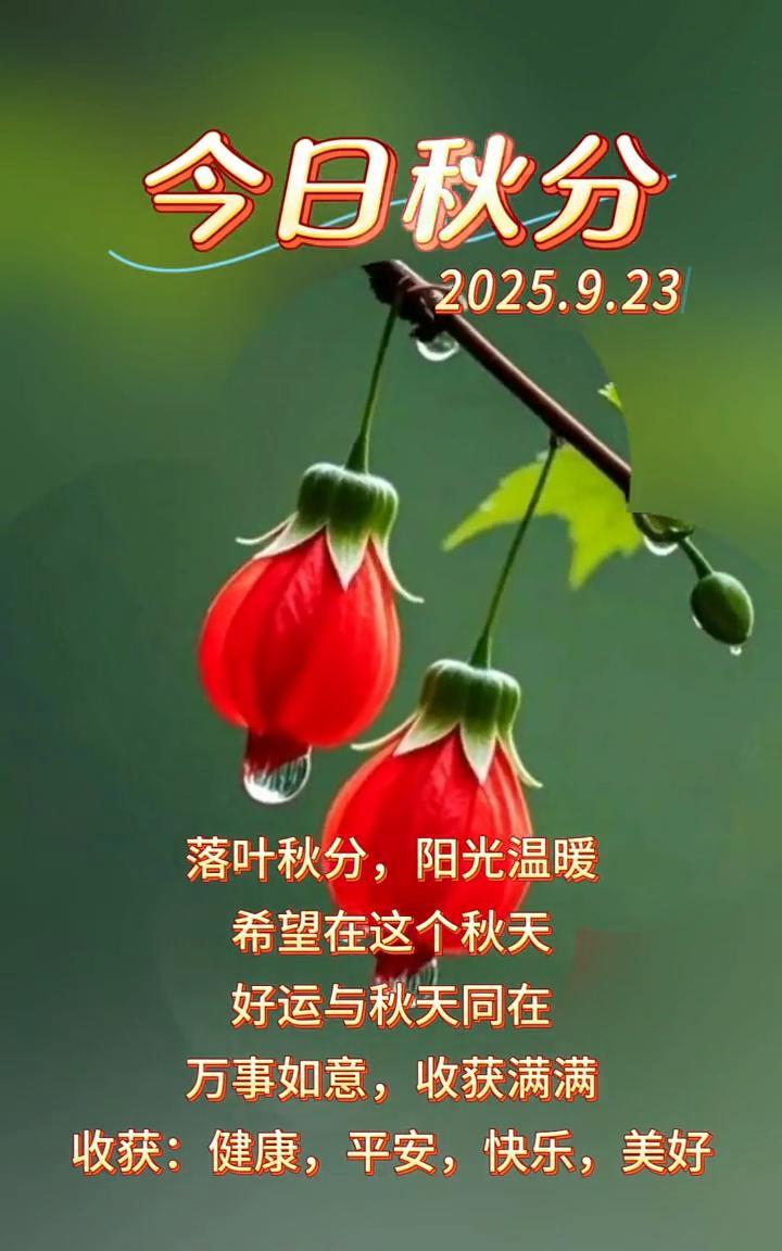 今日秋分，2025.9.23。落叶秋分，阳光温暖。希望在这个秋天，好运与秋天同