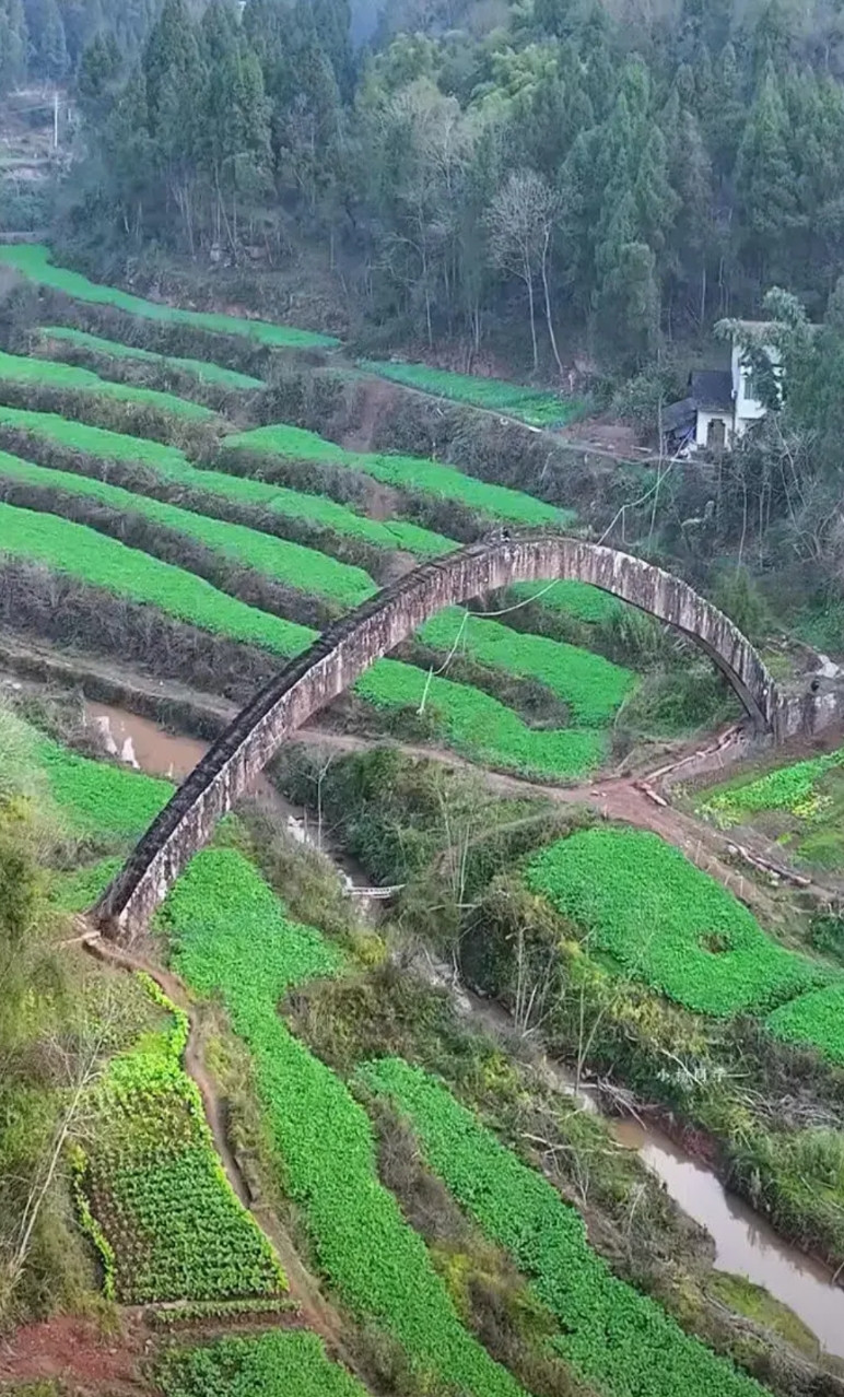 在四川安岳的大山里，拍到一座荒废多年的石拱桥，它外形独特，看上去像是一个没有完工