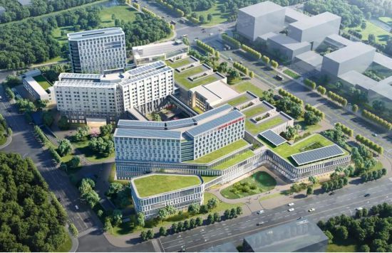 上海市重大工程2025年度第一季度建设稳中提速