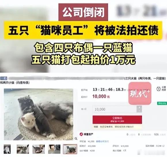 现在公司的套路越来越多了！以为整个猫在办公室，就能把我们当傻子骗？谁能想到几