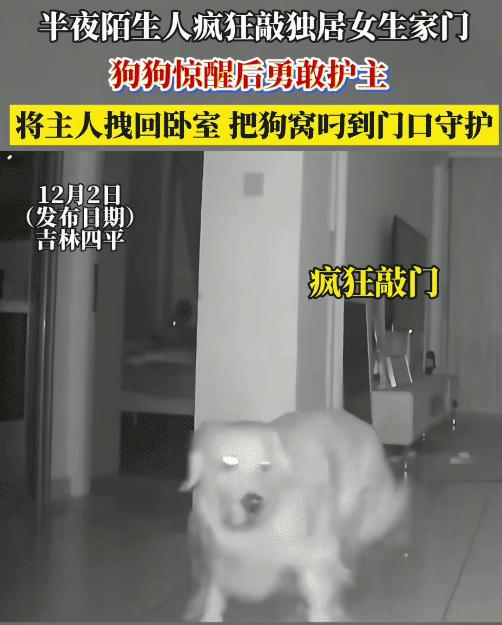 这是来报恩的！吉林一独居女生睡觉，半夜突然听到有人敲门。她走到客厅询问，是谁？可