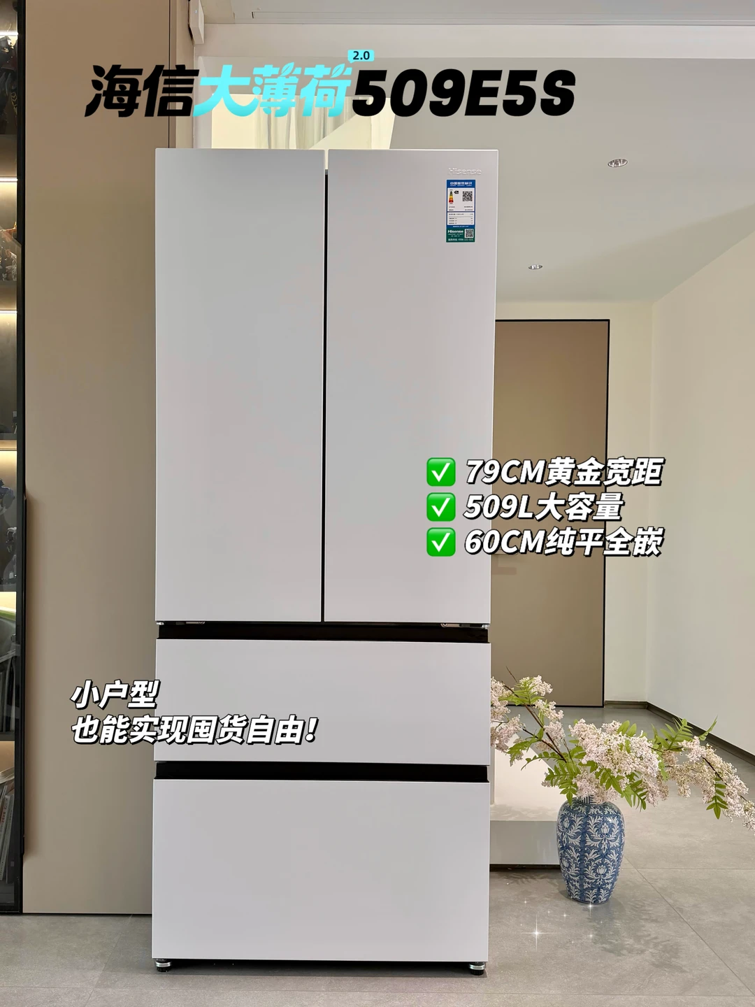 海信这台冰箱是来报恩的吧❄️小厨房狂喜！