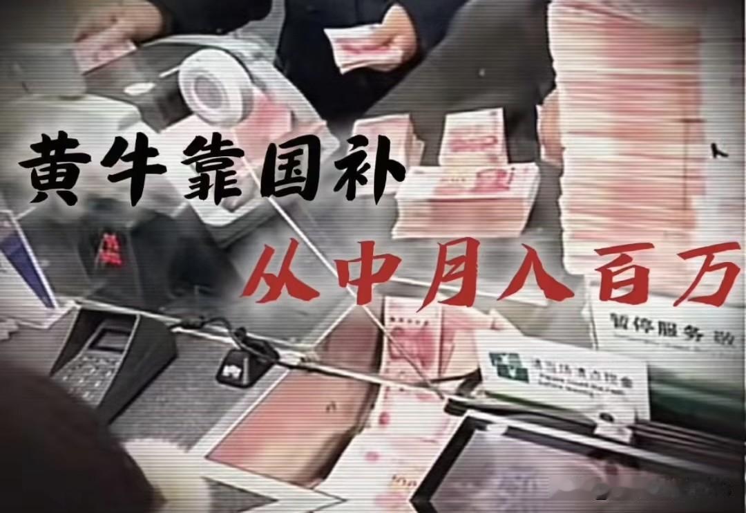 国补本是暖民心的，可投机者这把这变成“贪心收割机”咱国家拿出3000亿国补