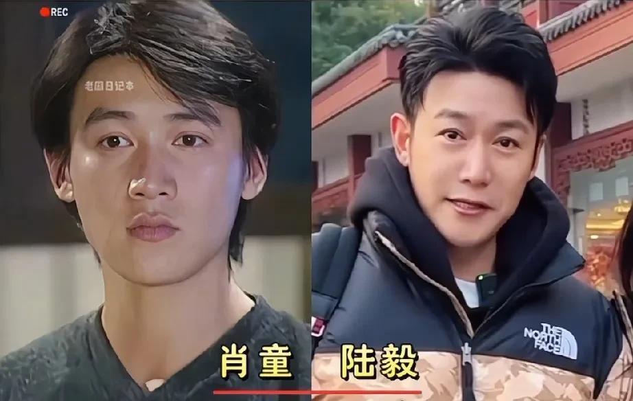 《永不瞑目》25年后演员今昔对比: