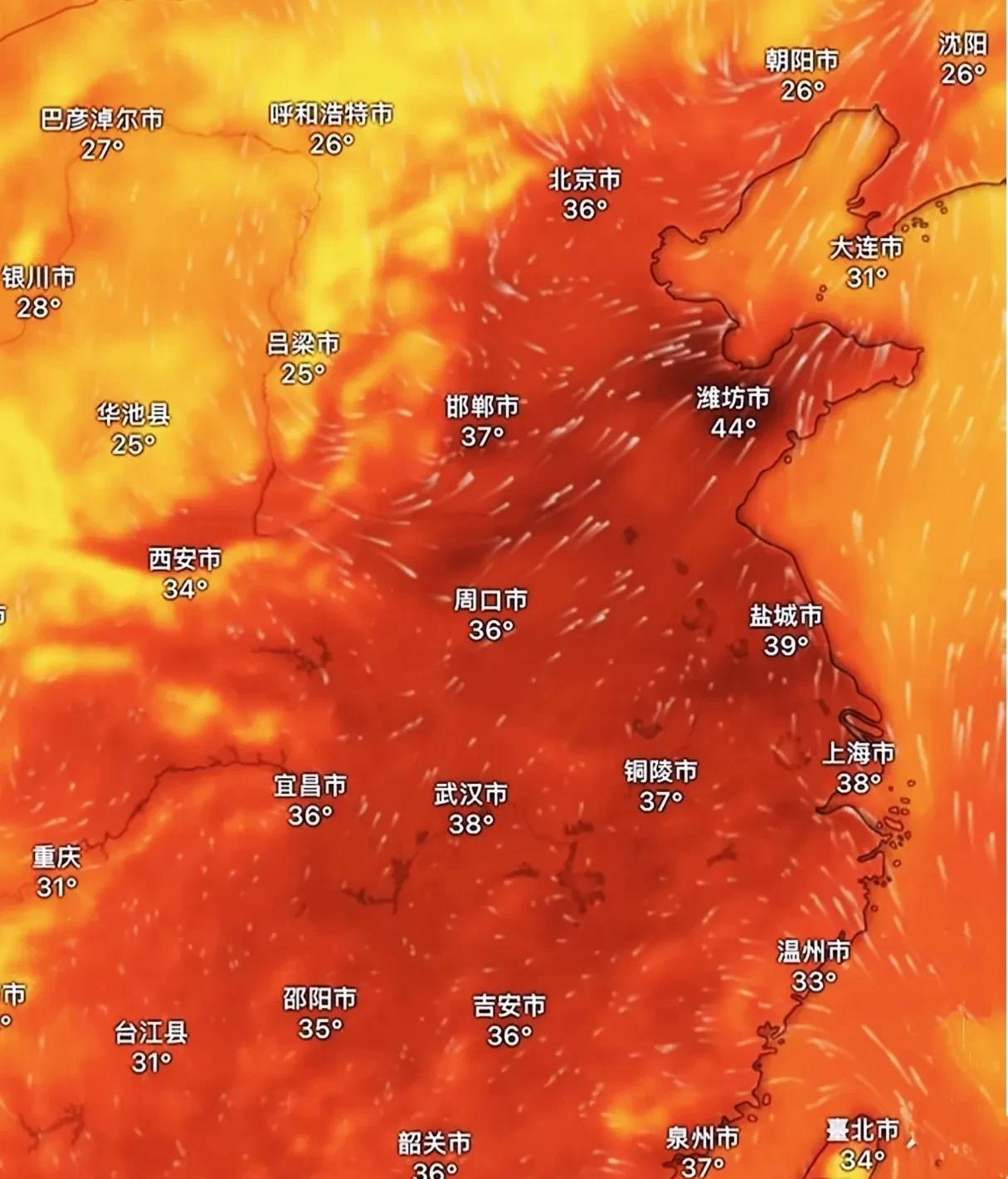 山东河南还真是奇怪，明明是北方省份，怎么一到夏天，热起来比南方还狠？昨天潍坊冲