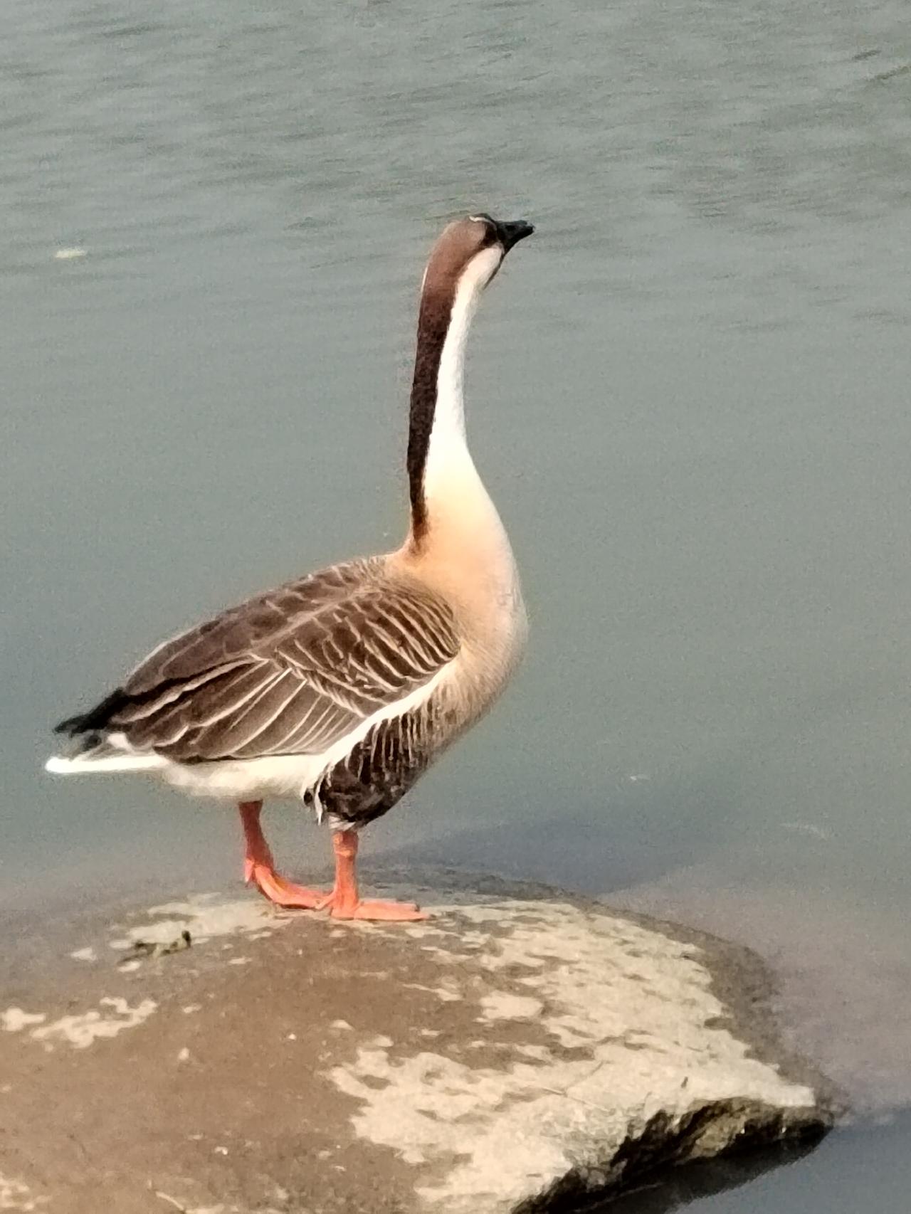 奉劝股民：不管你技术再牛、再懂行情，都千万不要把股市当赌场，把投机当信