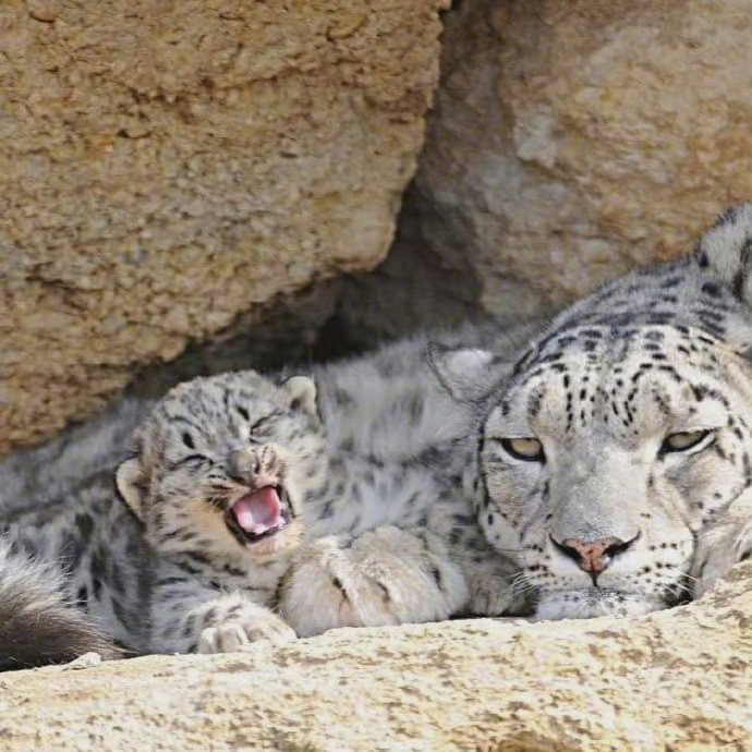 满脸写着对孩子的喜爱！！！