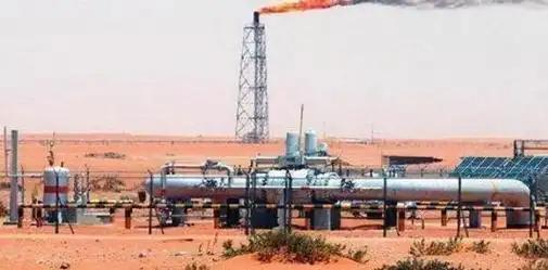 “这回中国可要栽个大跟头，把本全赔光了！”面对中国斥巨资买下，的独家开采权的举动